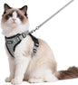 rabbitgoo Cat Harness and Leash by rabbitgoo