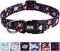 QQPETS Adjustable Soft Dog Collar: Print Flower Pink Multicolor Cute Patterns by QQPETS