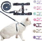 BEAUTYZOO Cat Harness and Leash Set Escape Proof by BEAUTYZOO