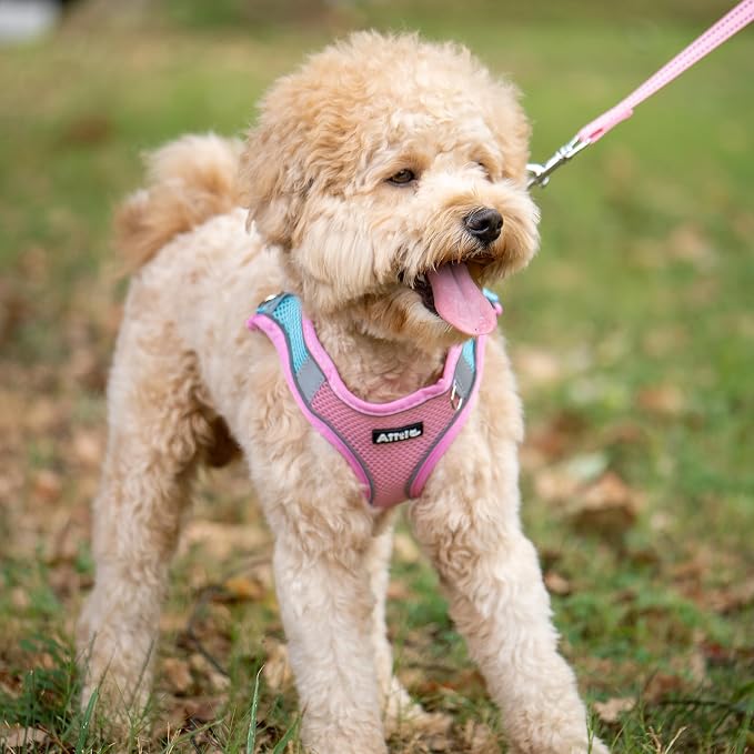 AIITLE No Pull Dog Harness and Leash Set, Step in Adjustable Dog Harness - Image 9