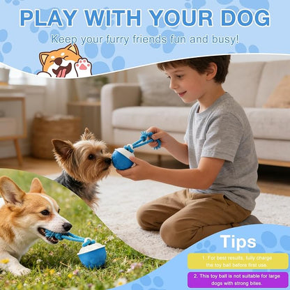 Interactive Dog Toys, 2026 Upgraded Motion Activated Automatic Rolling Ball Toys - Image 8