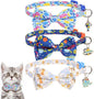 KOOLTAIL Boy Cat Collar Breakaway by KOOLTAIL