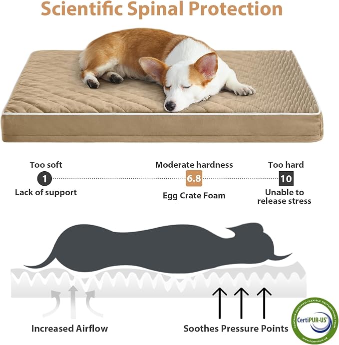 WNPETHOME Orthopedic Dog Bed Medium Size Dog, Waterproof Medium Dogs Bed - Image 3