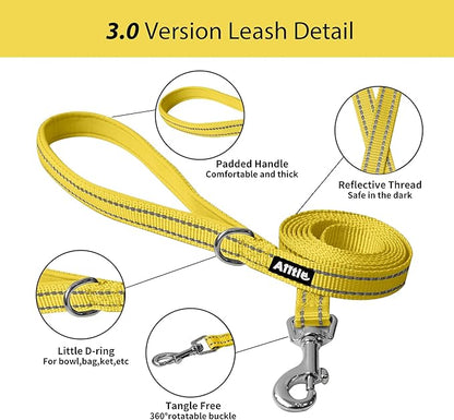 AIITLE Easy Walk Dog Harness and Leash Set - Image 5