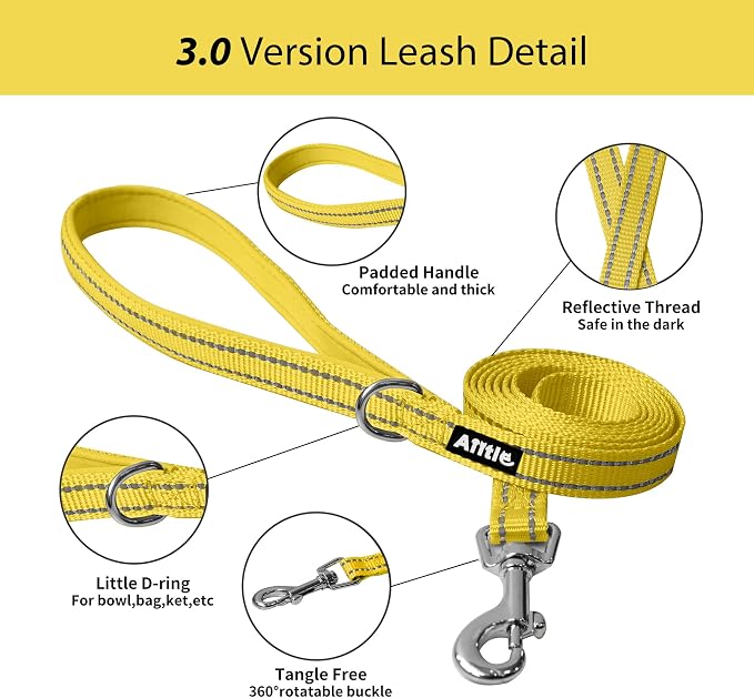 AIITLE Step in Dog Harness and Leash Set - Image 5