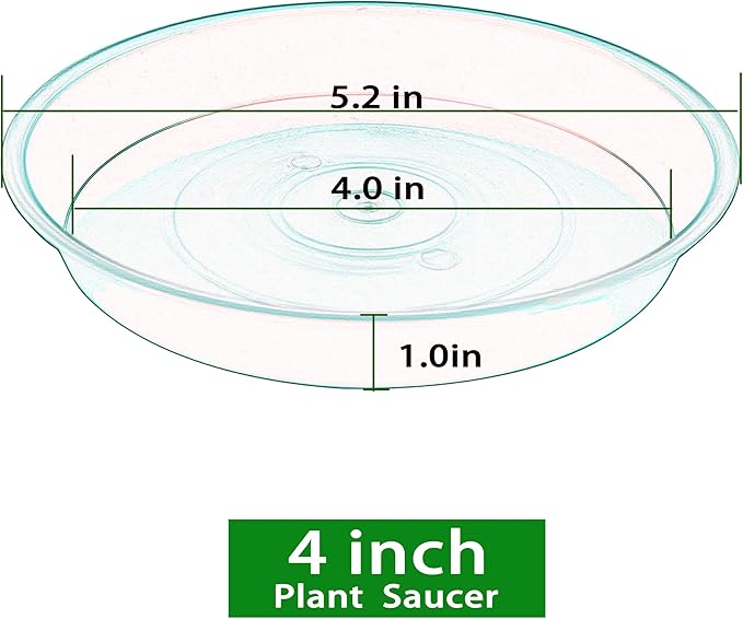 6 Pack Plant Saucer 4 5 inch, Heavy Sturdy Plant Drainage Tray - Image 2