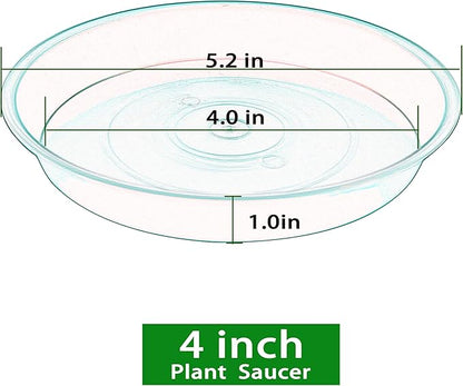 6 Pack Plant Saucer 4 5 inch, Heavy Sturdy Plant Drainage Tray - Image 2