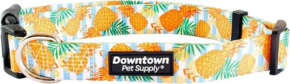 Downtown Pet Supply by DowntownPetSupply