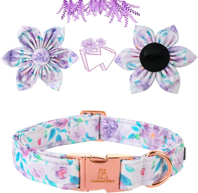 Lionheart Glory Cute Floral Pattern Adjustable Dog Collar - Image 3