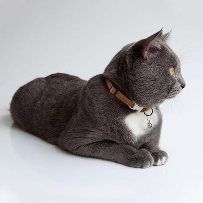 Leather Cat Collar with Buckle and Removable Bell - Image 6