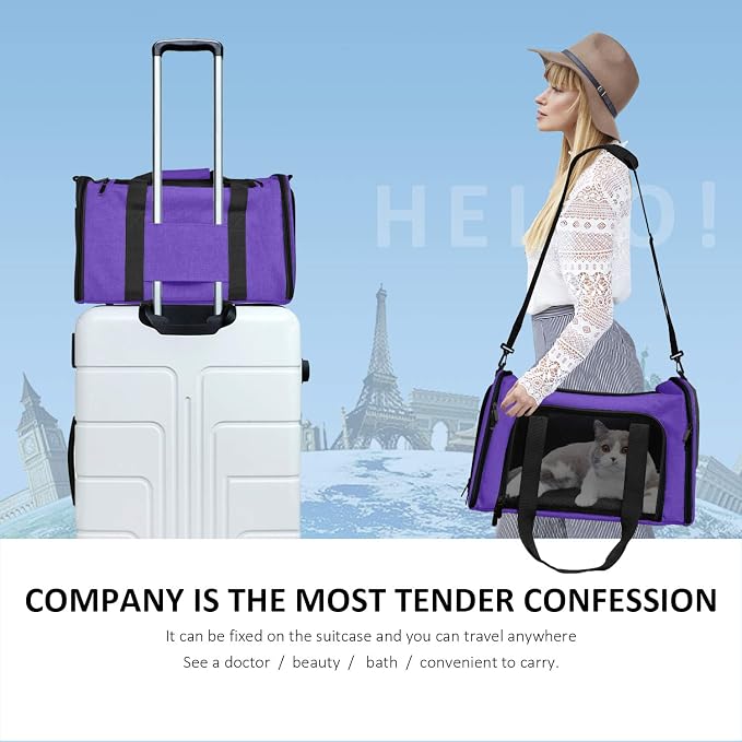 Henkelion Pet Carrier for Small Medium Cats Dogs Puppies up to 15 Lbs, Airline - Image 6