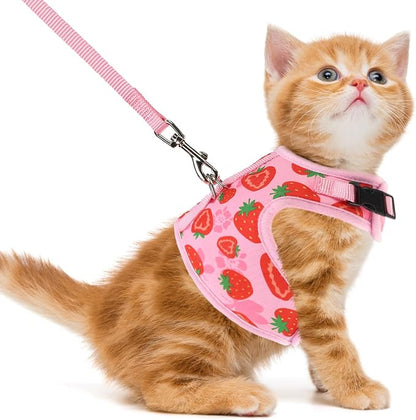 PUPTECK Soft Mesh Cat Vest Harness and Leash Set Puppy Padded Pet Harnesses by PUPTECK