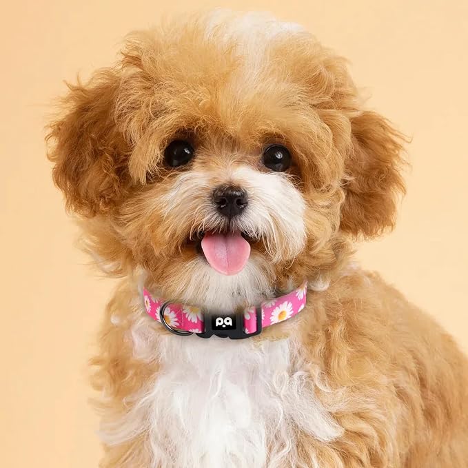 QQPETS Adjustable Soft Dog Collar: Print Flower Pink Multicolor Cute Patterns - Image 9
