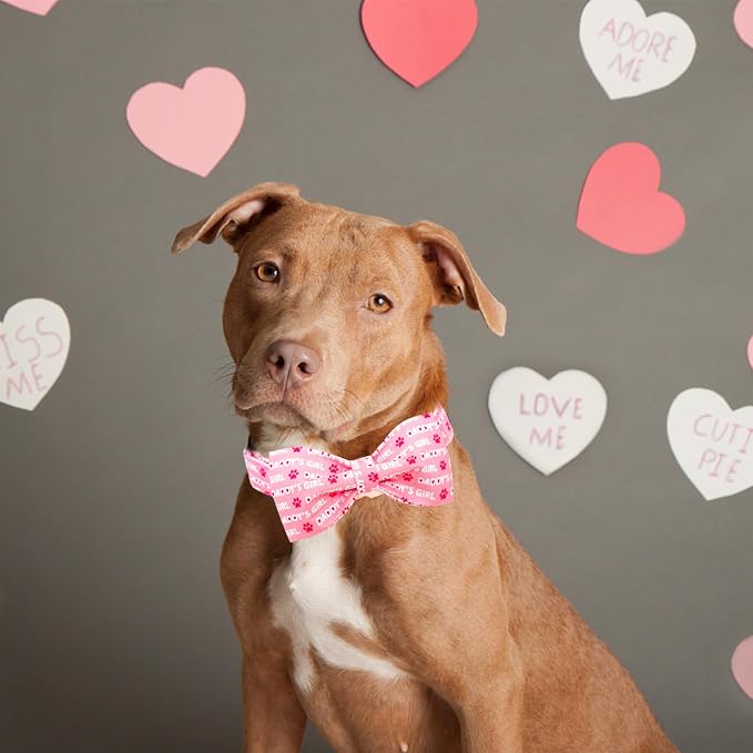 Lionheart Glory Dog Bow Collar - Image 5
