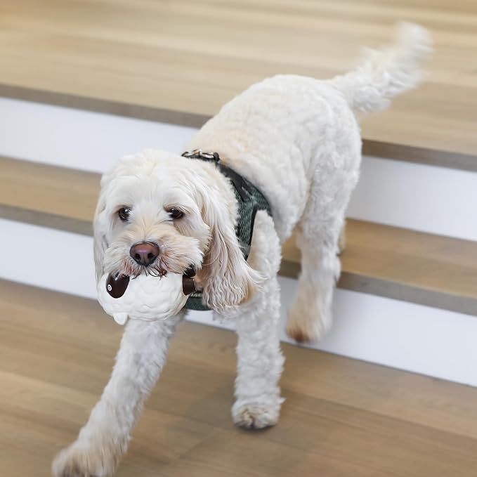 rocket & rex Dog Chew Toy Set for Small to Medium Breeds, Includes a Rope Toy - Image 2