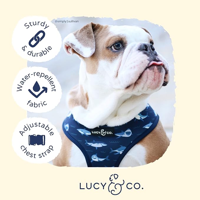 Lucy & Co. Reversible Dog Harness Walking Halter - Image 4