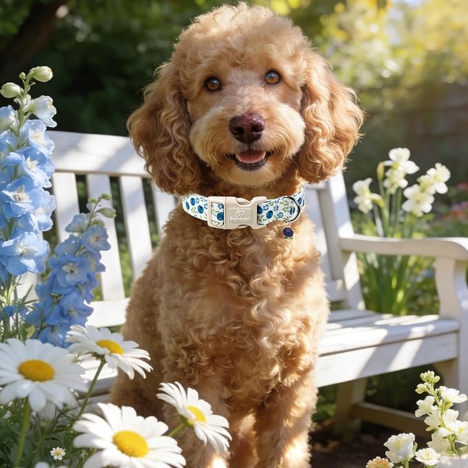 Spring/Summer Dog Collar for Large Dogs - Image 6