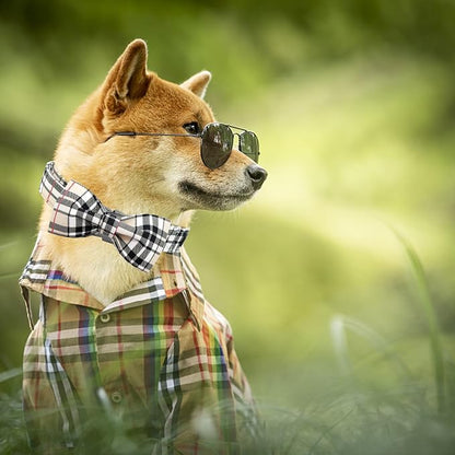 Bow Dog Collar-Plaid Pet Collar Cute Pet Bow Soft Girl or Boy Dog Collars - Image 5