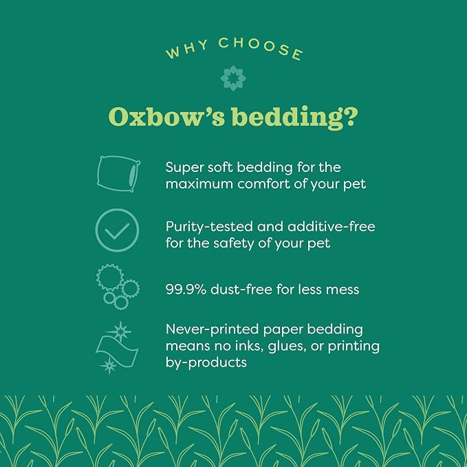 Oxbow Pure Comfort Bedding, & Guinea Pig Bedding, Bunny Supplies - Image 5
