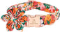 Lionheart Glory Dog Collar, Dog Collar by LionheartGlory