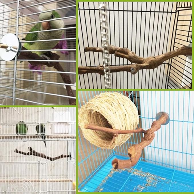 PINVNBY Parrot Perches Natural Birds Stand Wild Grape Stick Grinding Paw - Image 2