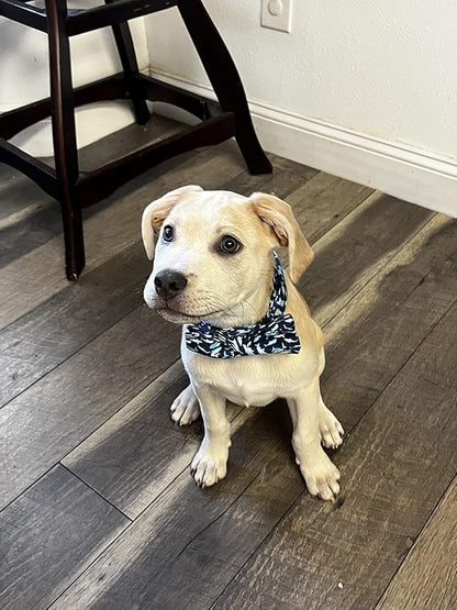 Elegant Little Tail Shark Print Adjustable Bowtie Collar - Image 5