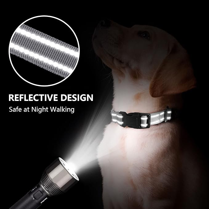 Martingale Dog Collar, Adjustable Nylon Reflective Collar - Image 2