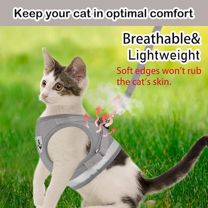 Cat Harnesses and Puppy Harness - Image 3