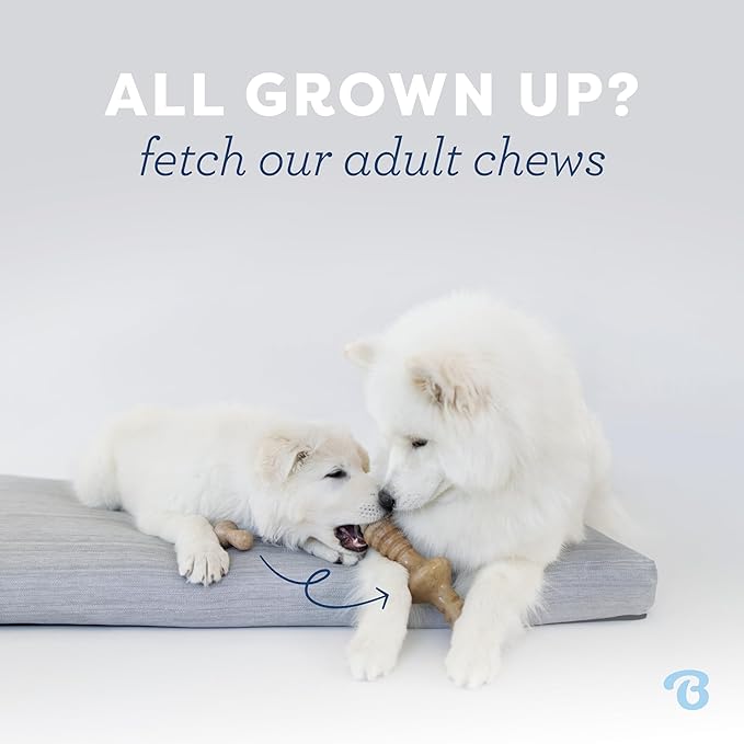 Benebone Puppy Fishbone Dog Chew Toys, Softer - Image 5