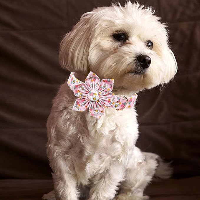 Lionheart glory Dog Collar Flower Collar Pink Dog Collar - Image 4