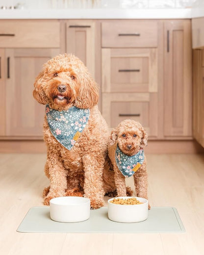 Remy+Roo Sage Silicone Dog Food Mat - Image 2