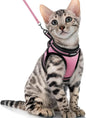 rabbitgoo Cat Harness and Leash Set by rabbitgoo