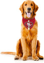 Littlearth NFL Denver Broncos Pet Bandana by Littlearth
