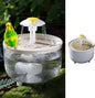 Bird Bath for Parakeets by MANONROSAPET
