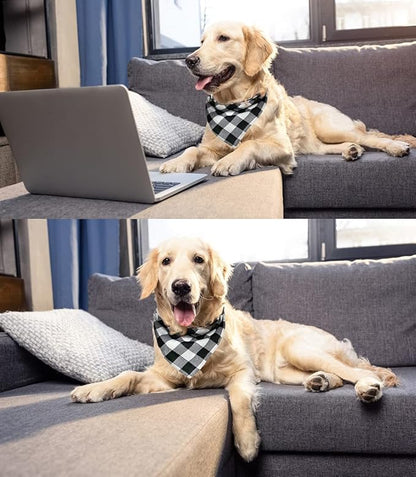 Birthday Plaid Dog Bandana - Image 7