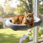 Cordless Cat Window Perch, Foldable Cat Window Hammock, 4 Strong Suction Cups by POMESEA