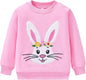 Toddler Baby Girls Cotton Sweater, Long Sleeve Crewneck Sweatshirt Pullover by Unknown