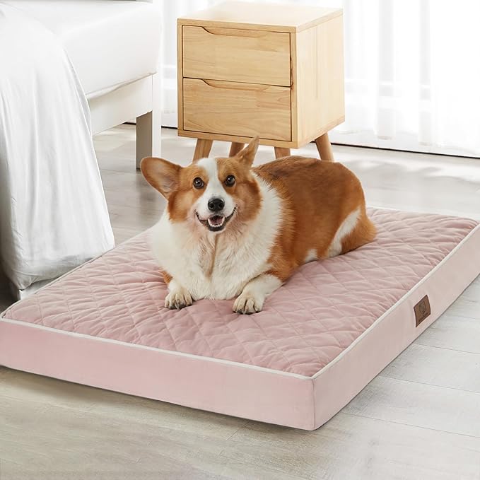 WNPETHOME Orthopedic XL Dog Bed by WNPETHOMEPETSHOME