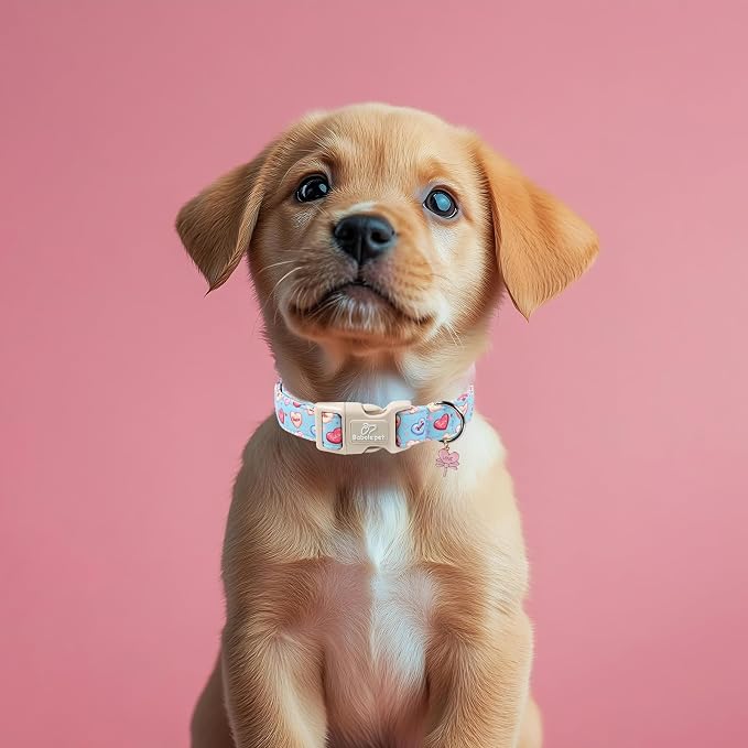Valentines Dog Collar for Small Dogs - Image 7