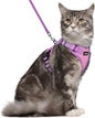 rabbitgoo Cat Harness and Leash Set, Escape Proof Soft Adjustable Vest Harnesses by rabbitgoo