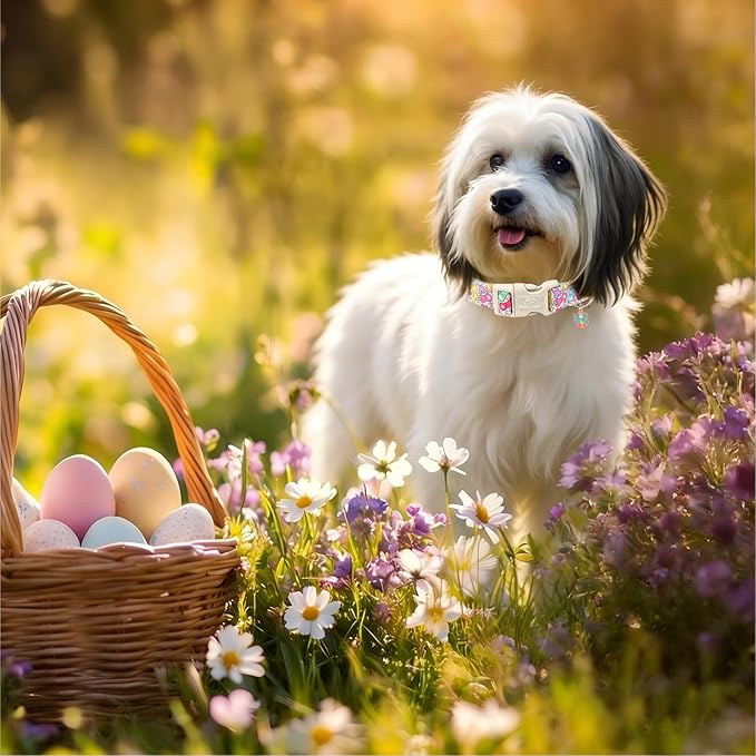 Easter Dog Collar for Large Dogs - Image 5