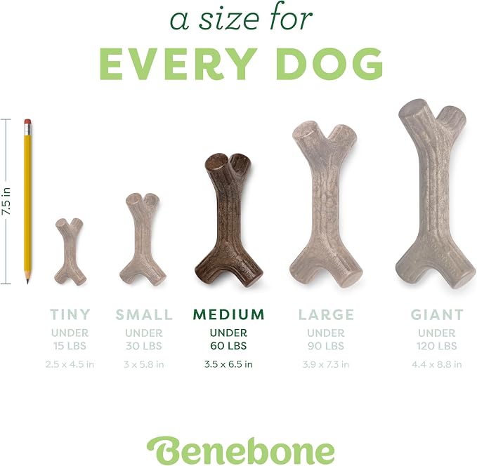 Benebone Maplestick Real Wood Durable Dog Chew Toy, Made in USA - Image 4