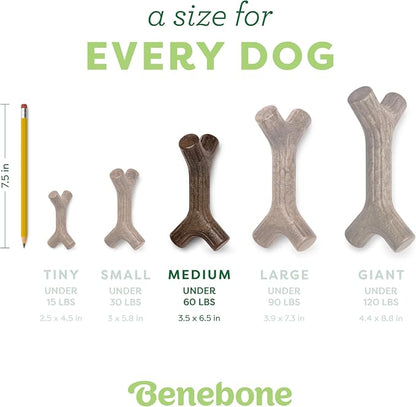 Benebone Maplestick Real Wood Durable Dog Chew Toy, Made in USA - Image 4