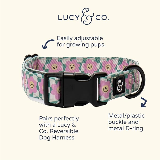 Lucy & Co. Making Rainbows, Cute Reversible Dog Harness Walking Halter - Image 3