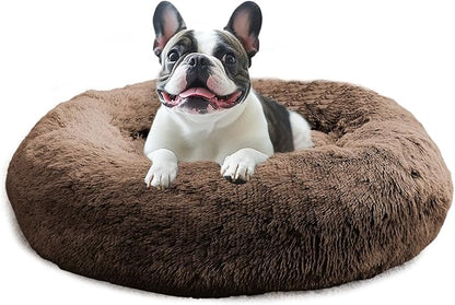 JOLLYVOGUE Calming Small Dog & Cat Bed by JOLLYVOGUE