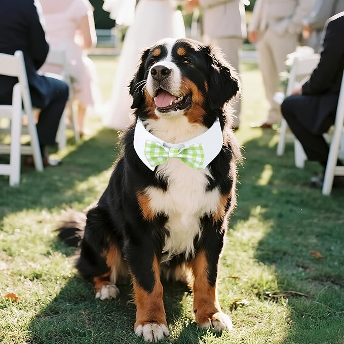 Segarty Dog Bow Tie for Neck Girths 16.5-21.2in, Adjustable Green Plaid Bowtie - Image 5