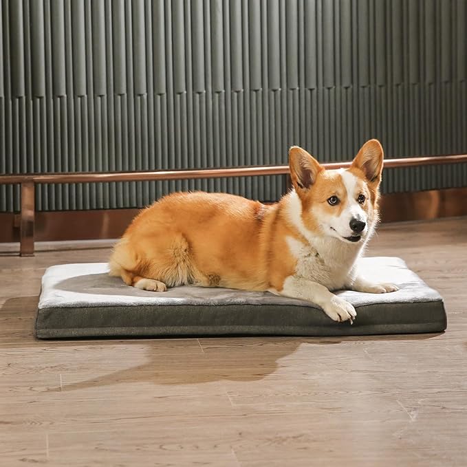 Amazon Basics Washable Dog Bed - Image 7