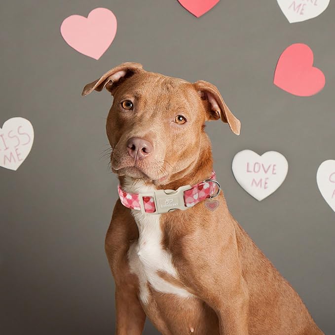 Valentines Dog Collar for Giant Large Dogs - Image 4