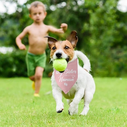 Baby Announcement Dog Bandana Big Sister to My Little Human Gender Reveal - Image 5