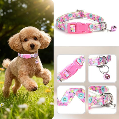 Small Dog Collar with Bell - Image 3